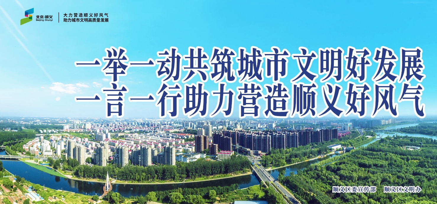 一举一动共筑城市文明好发展 一言一行助力营造顺义好风气（横版）