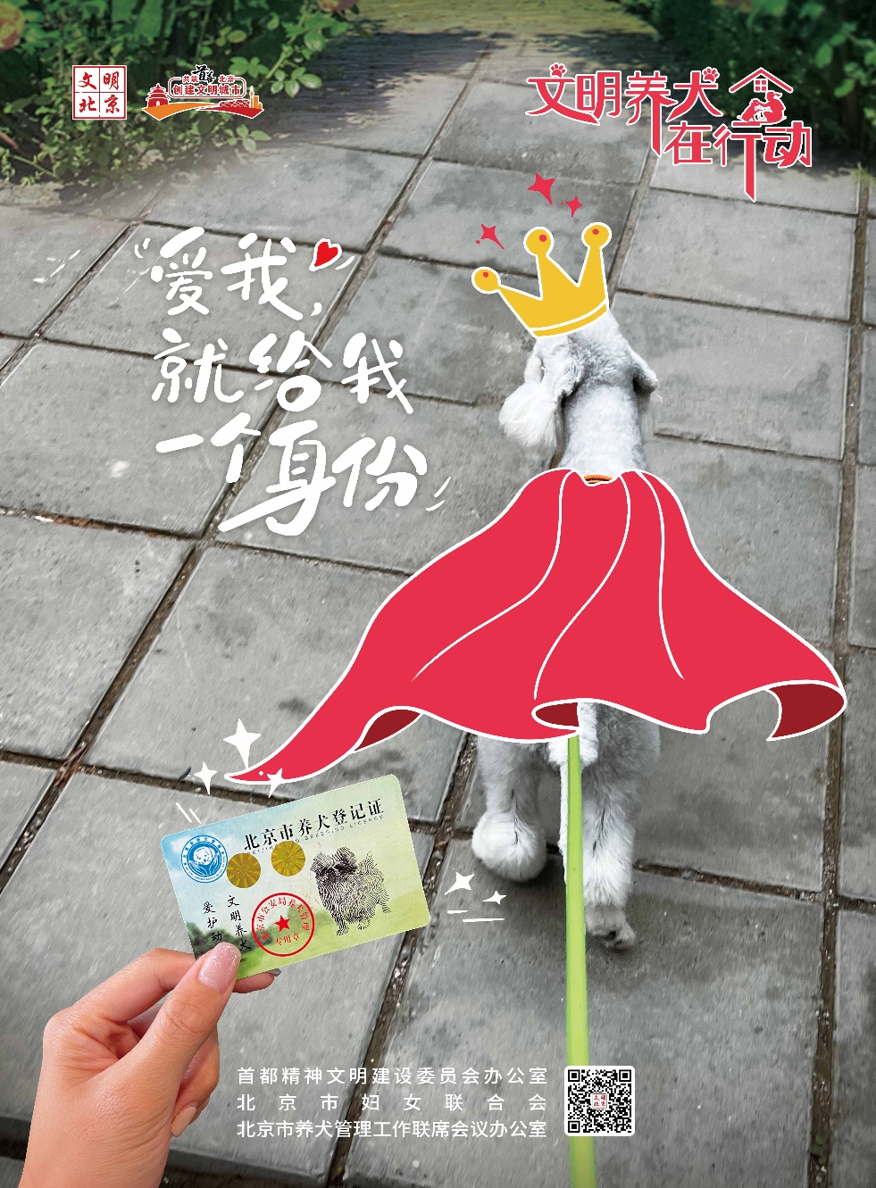 文明养犬在行动