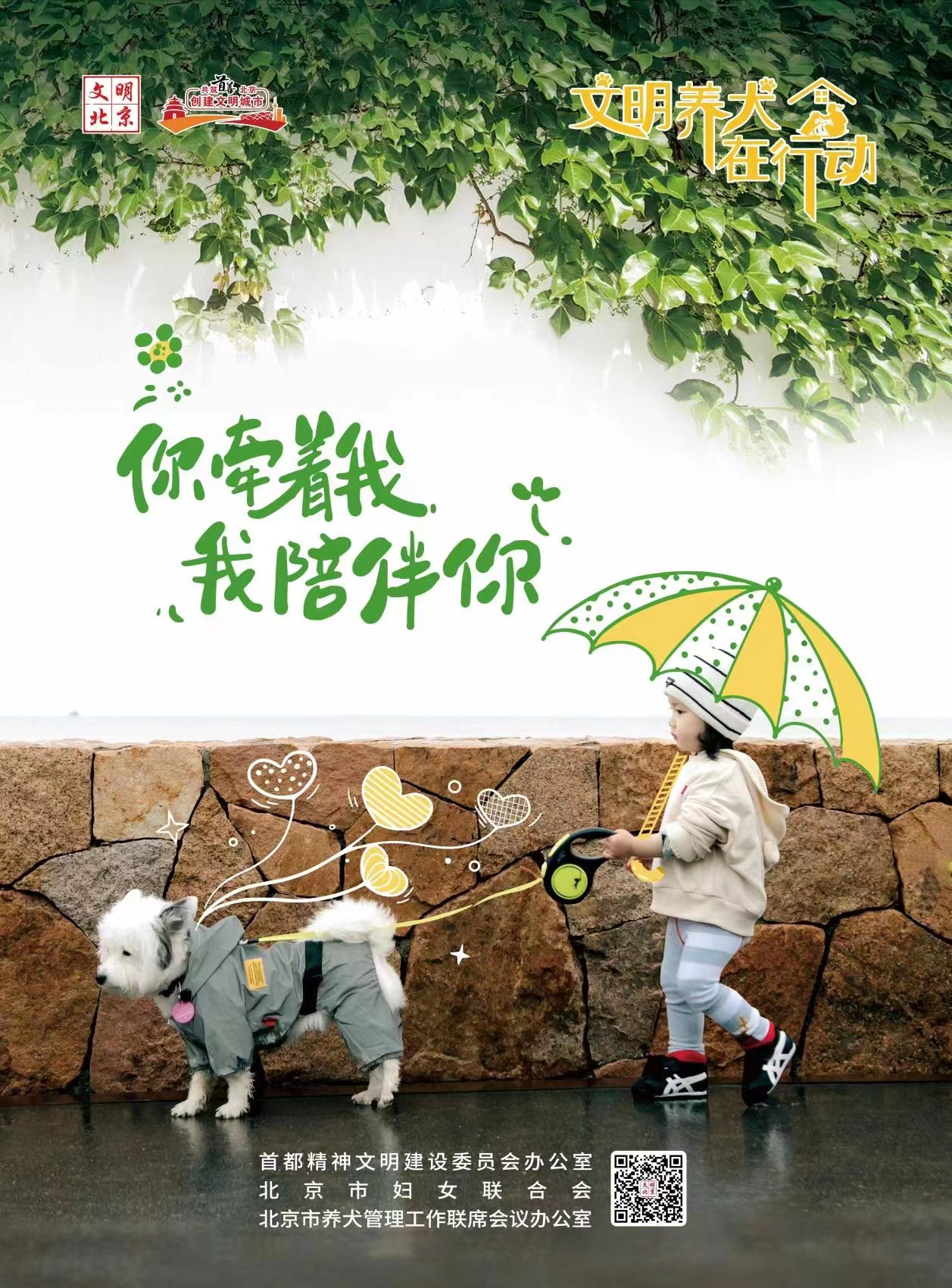 文明养犬在行动