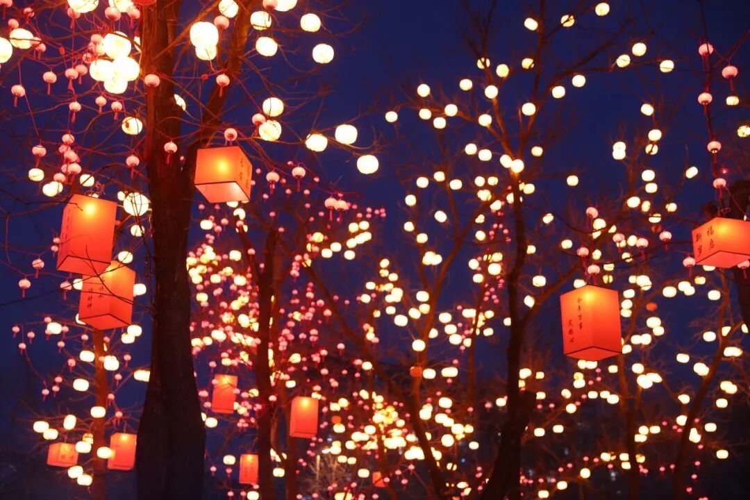 柿子灯、许愿灯、唐马灯……顺义“亮”出年味儿！